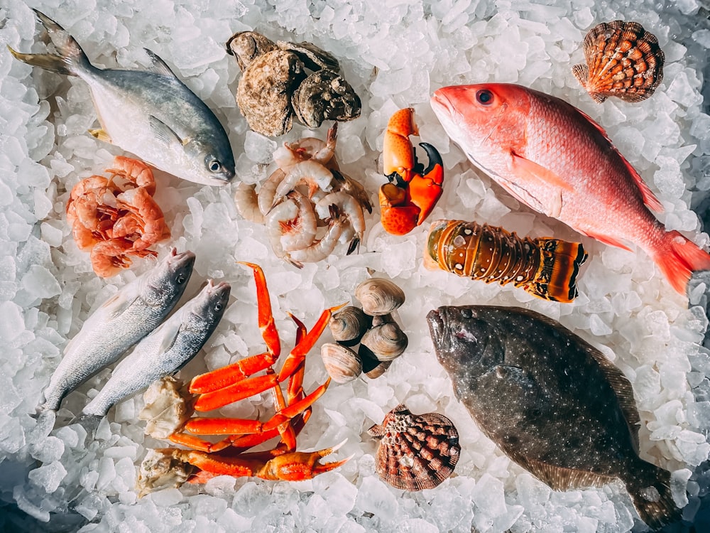 Fish & Seafood